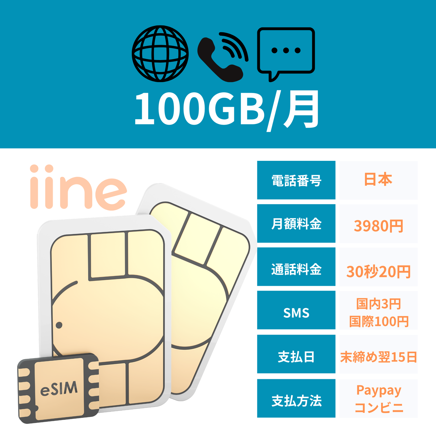 音声SIM&Data SIM 100GB
